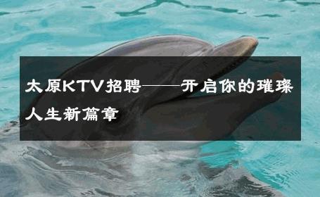 太原KTV招聘——开启你的璀璨人生新篇章 