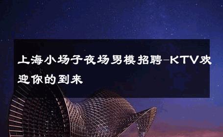 上海小场子夜场男模招聘-KTV欢迎你的到来 