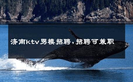 济南ktv男模招聘,招聘可兼职 