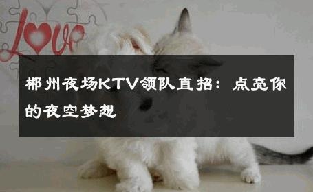 郴州夜场KTV领队直招：点亮你的夜空梦想 
