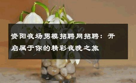 资阳夜场男模招聘网招聘：开启属于你的精彩夜晚之旅 