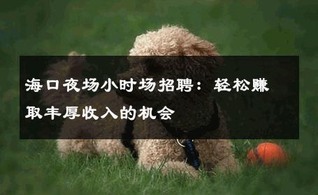 海口夜场小时场招聘：轻松赚取丰厚收入的机会 