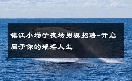镇江小场子夜场男模招聘-开启属于你的璀璨人生 