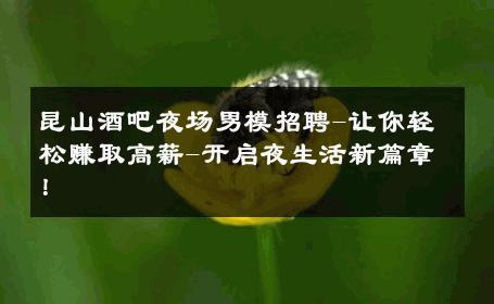 昆山酒吧夜场男模招聘-让你轻松赚取高薪-开启夜生活新篇章！ 