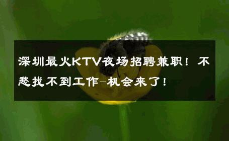 深圳最火KTV夜场招聘兼职！不愁找不到工作-机会来了！ 