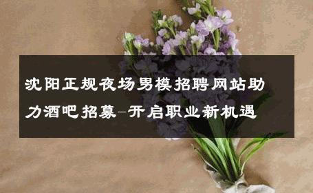 沈阳正规夜场男模招聘网站助力酒吧招募-开启职业新机遇 