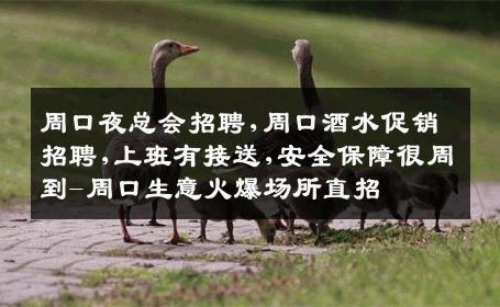 周口夜总会招聘,周口酒水促销招聘,上班有接送,安全保障很周到-周口生意火爆场所直招