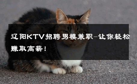 辽阳KTV招聘男模兼职-让你轻松赚取高薪！ 