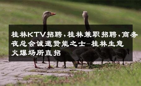 桂林KTV招聘,桂林兼职招聘,商务夜总会诚邀贤能之士-桂林生意火爆场所直招