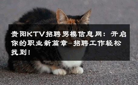 贵阳KTV招聘男模信息网：开启你的职业新篇章-招聘工作轻松找到！ 