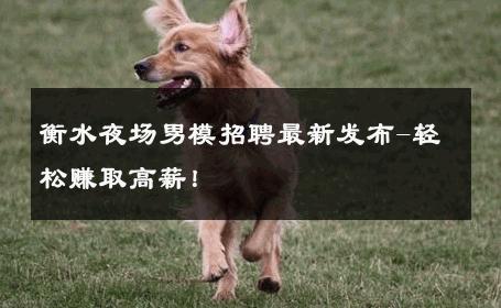 衡水夜场男模招聘最新发布-轻松赚取高薪！ 