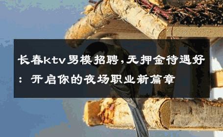 长春ktv男模招聘,无押金待遇好：开启你的夜场职业新篇章 