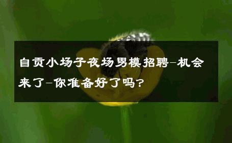 自贡小场子夜场男模招聘-机会来了-你准备好了吗？ 