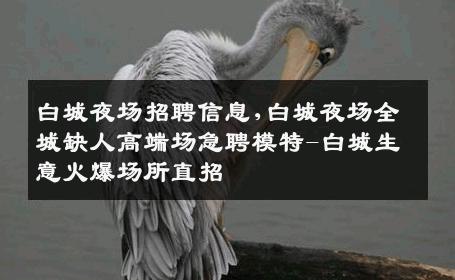 白城夜场招聘信息,白城夜场全城缺人高端场急聘模特-白城生意火爆场所直招
