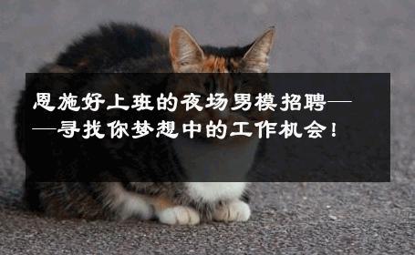 恩施好上班的夜场男模招聘——寻找你梦想中的工作机会！ 