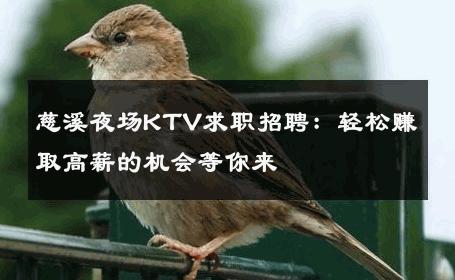 慈溪夜场KTV求职招聘：轻松赚取高薪的机会等你来 