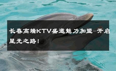 长春高端KTV盛邀魅力加盟-开启星光之路！ 