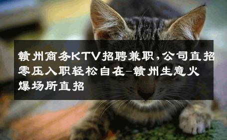 赣州商务KTV招聘兼职,公司直招零压入职轻松自在-赣州生意火爆场所直招