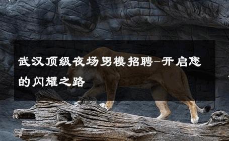 武汉顶级夜场男模招聘-开启您的闪耀之路 