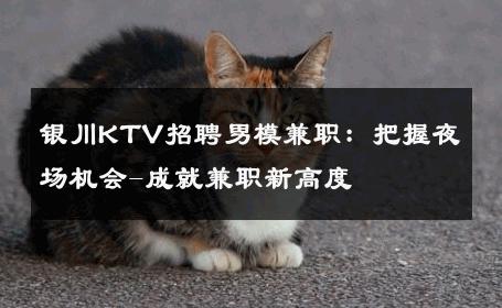 银川KTV招聘男模兼职：把握夜场机会-成就兼职新高度 
