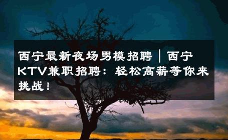 西宁最新夜场男模招聘｜西宁KTV兼职招聘：轻松高薪等你来挑战！ 