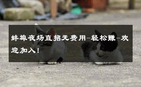 蚌埠夜场直招无费用-轻松赚-欢迎加入！ 