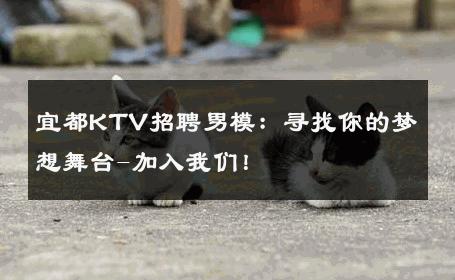宜都KTV招聘男模：寻找你的梦想舞台-加入我们！ 