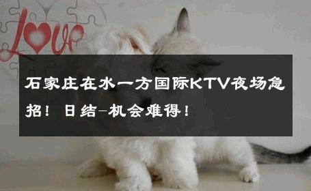 石家庄在水一方国际KTV夜场急招！日结-机会难得！ 