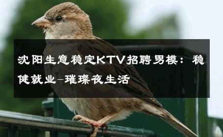 沈阳生意稳定KTV招聘男模：稳健就业-璀璨夜生活 