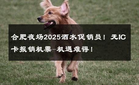 合肥夜场2025酒水促销员！无IC卡报销机票-机遇难得！ 