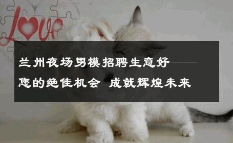 兰州夜场男模招聘生意好——您的绝佳机会-成就辉煌未来 