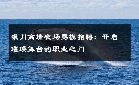 银川高端夜场男模招聘：开启璀璨舞台的职业之门 