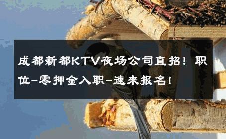 成都新都KTV夜场公司直招！职位-零押金入职-速来报名！ 