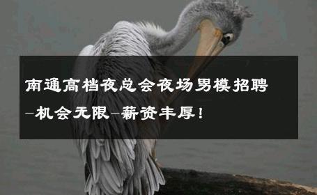 南通高档夜总会夜场男模招聘-机会无限-薪资丰厚！ 
