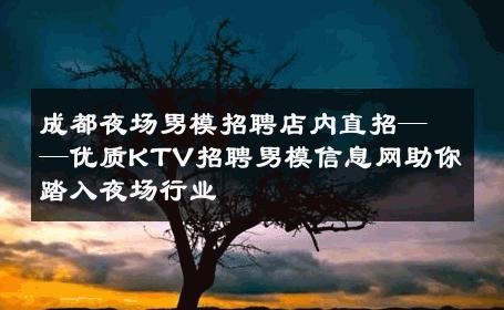 成都夜场男模招聘店内直招——优质KTV招聘男模信息网助你踏入夜场行业 