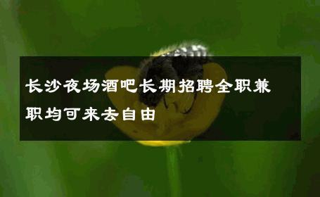 长沙夜场酒吧长期招聘全职兼职均可来去自由 