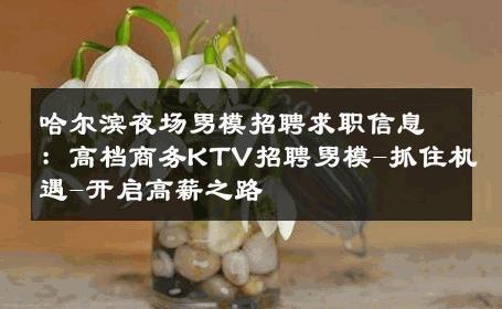 哈尔滨夜场男模招聘求职信息：高档商务KTV招聘男模-抓住机遇-开启高薪之路 