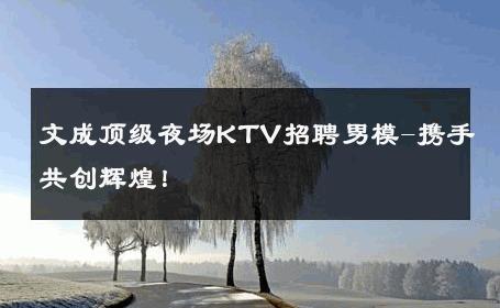 文成顶级夜场KTV招聘男模-携手共创辉煌！ 
