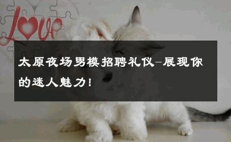 太原夜场男模招聘礼仪-展现你的迷人魅力！ 
