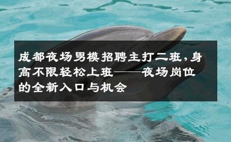 成都夜场男模招聘主打二班,身高不限轻松上班——夜场岗位的全新入口与机会 