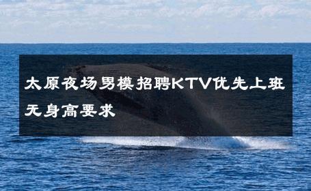 太原夜场男模招聘KTV优先上班无身高要求 