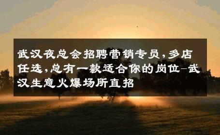 武汉夜总会招聘营销专员,多店任选,总有一款适合你的岗位-武汉生意火爆场所直招