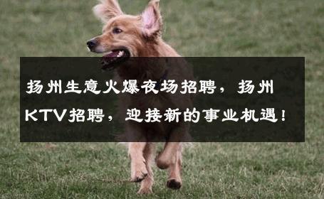 扬州生意火爆夜场招聘，扬州KTV招聘，迎接新的事业机遇！