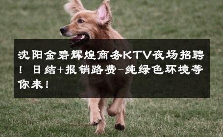 沈阳金碧辉煌商务KTV夜场招聘！日结+报销路费-纯绿色环境等你来！ 