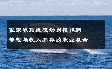 张家界顶级夜场男模招聘——梦想与收入并存的职业机会 