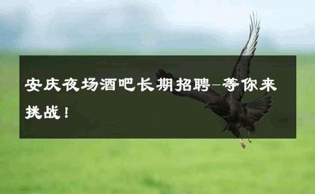 安庆夜场酒吧长期招聘-等你来挑战！ 