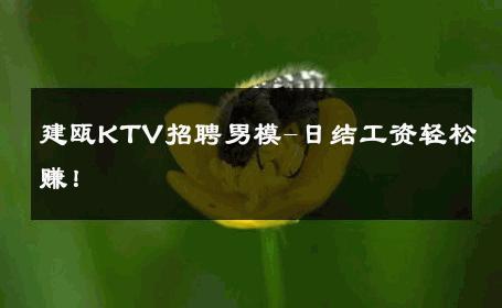 建瓯KTV招聘男模-日结工资轻松赚！ 