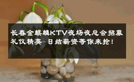 长春金麒麟KTV夜场夜总会招募礼仪精英-日结薪资等你来抢！ 