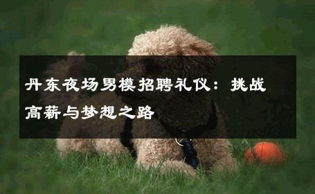 丹东夜场男模招聘礼仪：挑战高薪与梦想之路 