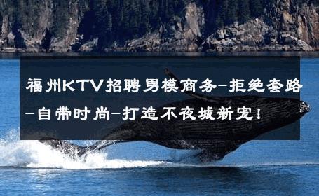 福州KTV招聘男模商务-拒绝套路-自带时尚-打造不夜城新宠！ 